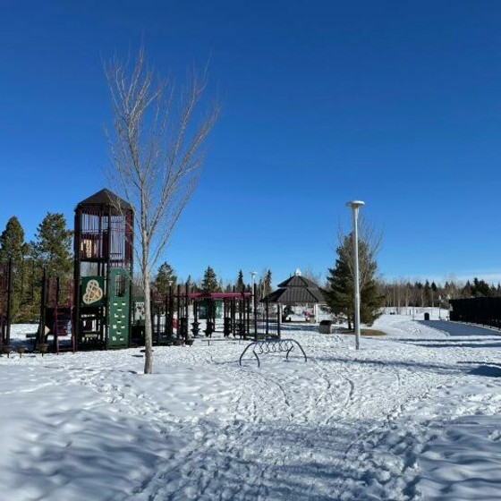 Playground  and Courts Park Image